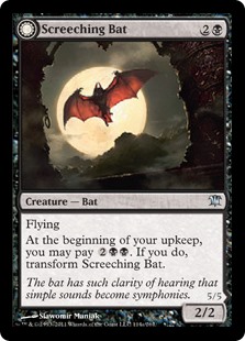 Screeching Bat