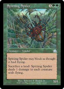 毒吐き蜘蛛（Spitting Spider）