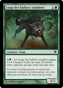 Loup des halliers sombres