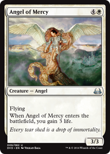 《慈悲の天使/Angel of Mercy》 [DD3_DVD]