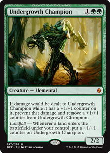 Image result for undergrowth champion