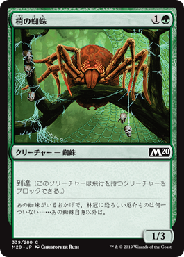 梢の蜘蛛（Canopy Spider）