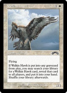 Welkin Hawk