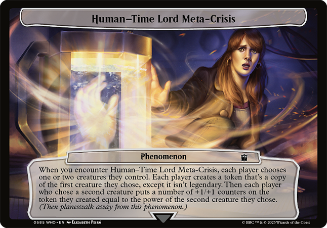 Human–Time Lord Meta-Crisis