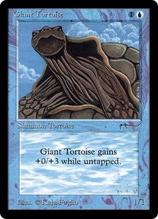 象亀（Giant Tortoise）