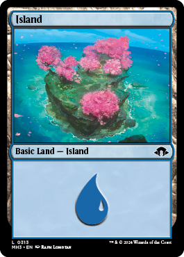 Picture of Island                           