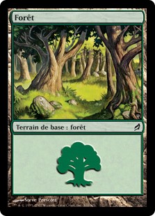 Forêt