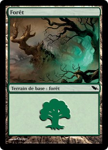 Forêt