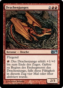 Drachenjunges