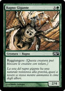 Ragno Gigante