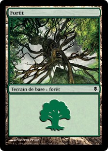 Forêt