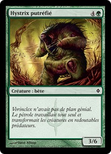 Hystrix putréfié