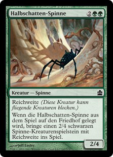 Halbschatten-Spinne