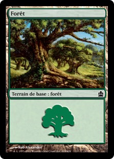 Forêt