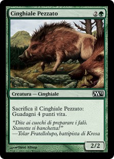 Cinghiale Pezzato