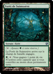 Forêt de Suintesève