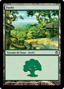 forêt