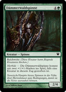 Dämmerwaldspinne