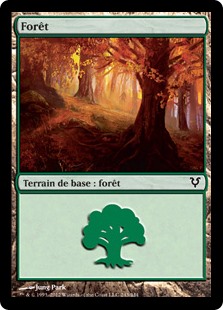 Forêt