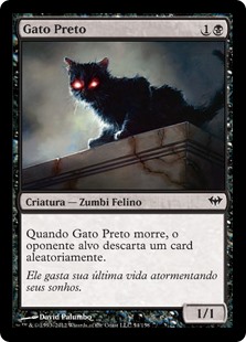 Gato Preto