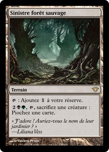 Sinistre forêt sauvage