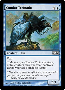 Condor Treinado