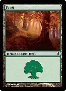 Forêt