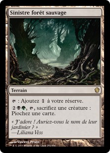 Sinistre forêt sauvage