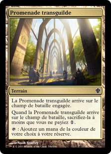 Promenade transguilde