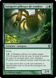 Araignée pilleuse de tombes