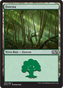 Foresta