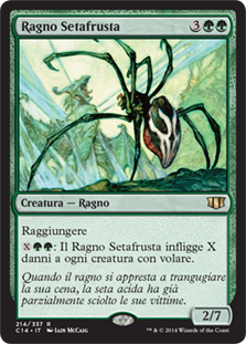 Ragno Setafrusta