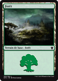 forêt