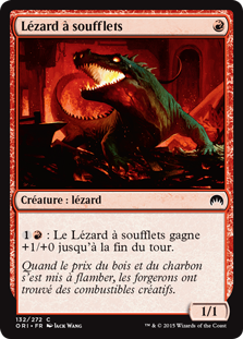 Lézard à soufflets