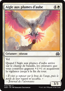 Aigle aux plumes d'aube