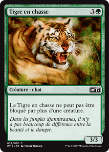 Tigre en chasse