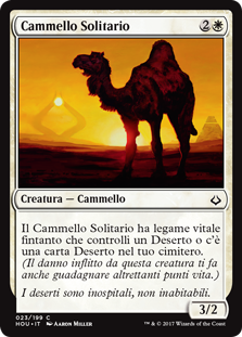 Cammello Solitario