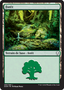 Forêt