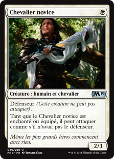 Chevalier novice