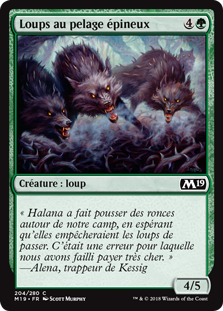 Loups au pelage épineux