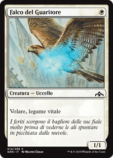 Falco del Guaritore