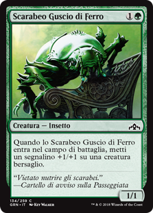 Scarabeo Guscio di Ferro