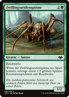 Zwillingsseidenspinne