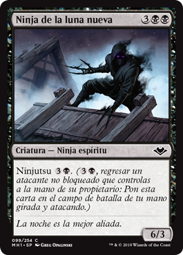 Ninja de la luna nueva