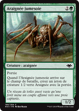 Araignée jumesoie