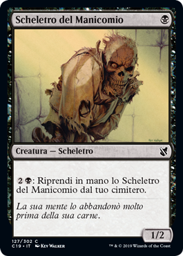 Scheletro del Manicomio