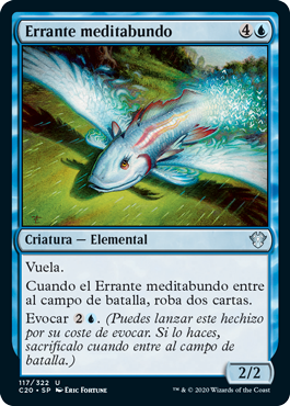 Errante meditabundo