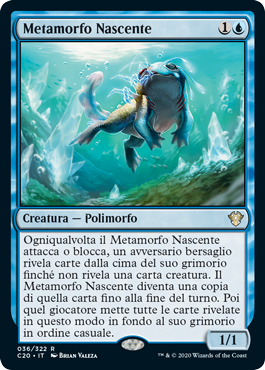 Metamorfo Nascente