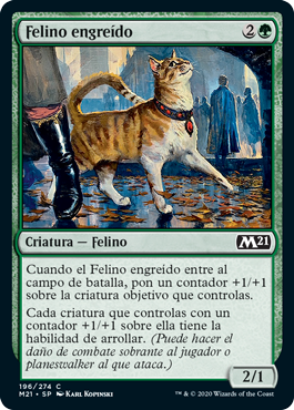 Felino engreído