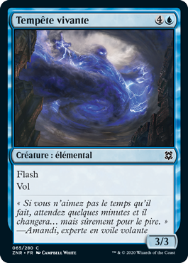 Tempête vivante